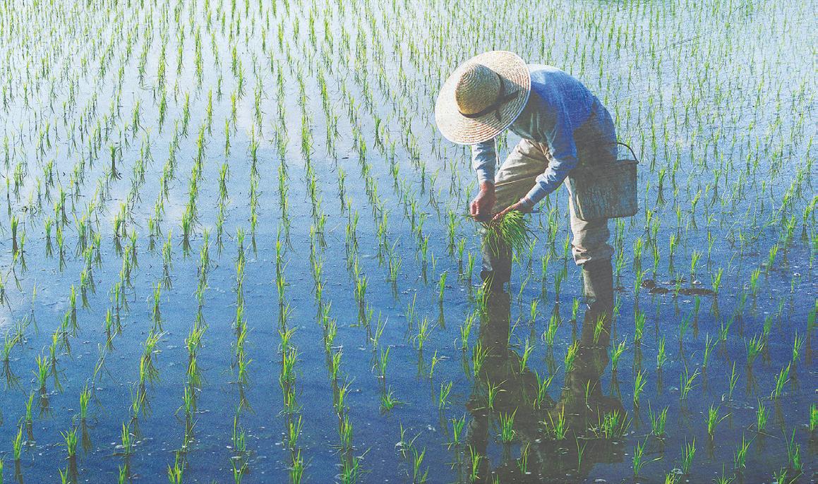 Industrial policy for the Philippines: Why we failed miserably