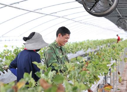 Philippines signs seasonal labor deal for farm workers with South Korea