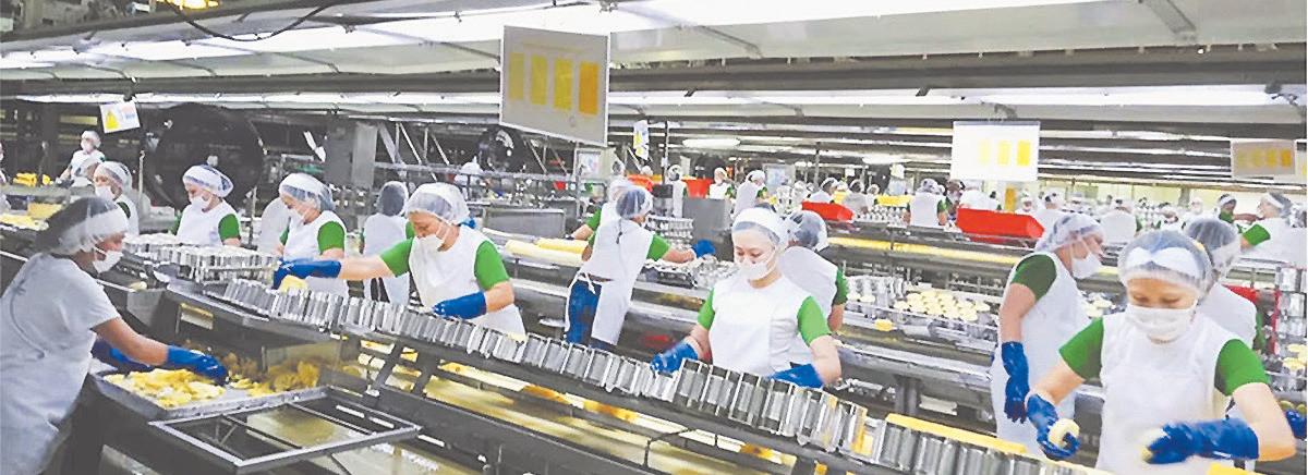 Del Monte Pacific profit soars on strong sales in PHL, int'l markets