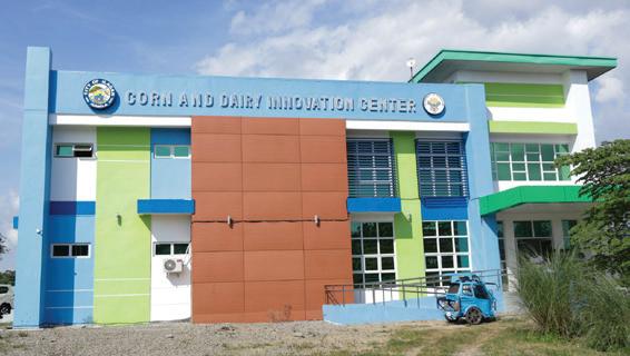 PHL’s 1st industrial corn complex seen curbing post-harvest losses