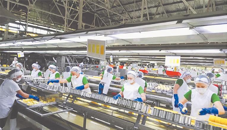 Del Monte Pacific says Q2 profit jumped to $16.8M on strong sales