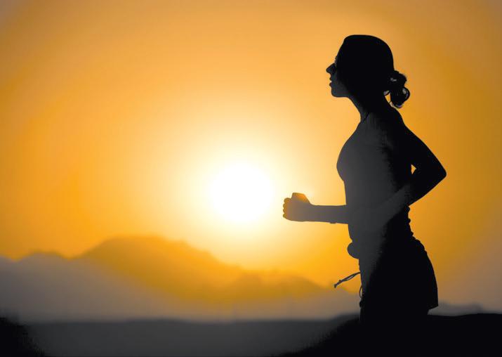 Yearlong path to healthier daily routines