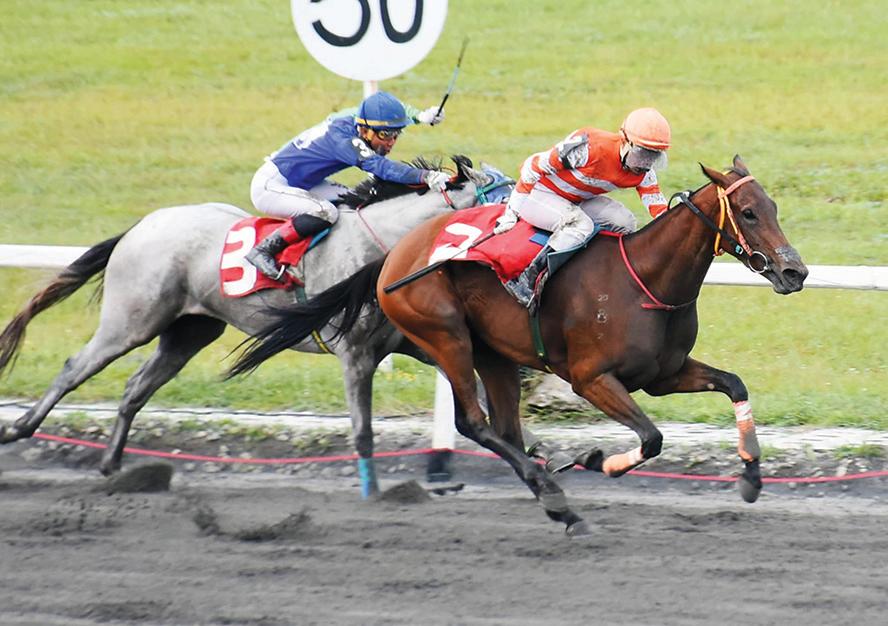 Vinalot Eyu kinahon ang 2nd Leg Triple Crown