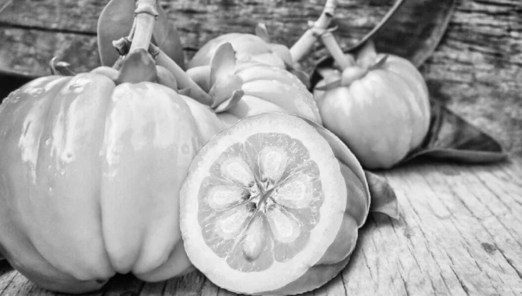 France Warns Against Garcinia Plant-based Weight Loss Supplements