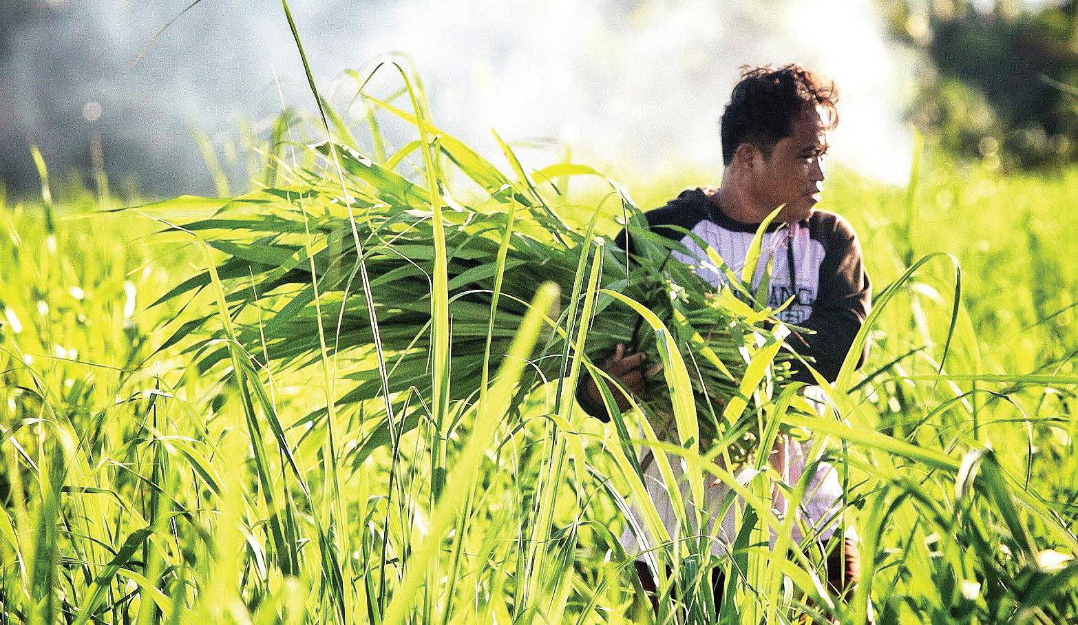 Baricuatro to review contracts