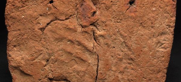 Museum Finds 4,000-year-old Handprint on Egypt Tomb