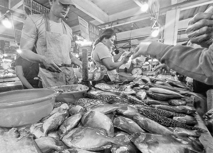 Fish ports across Philippines set for modernization