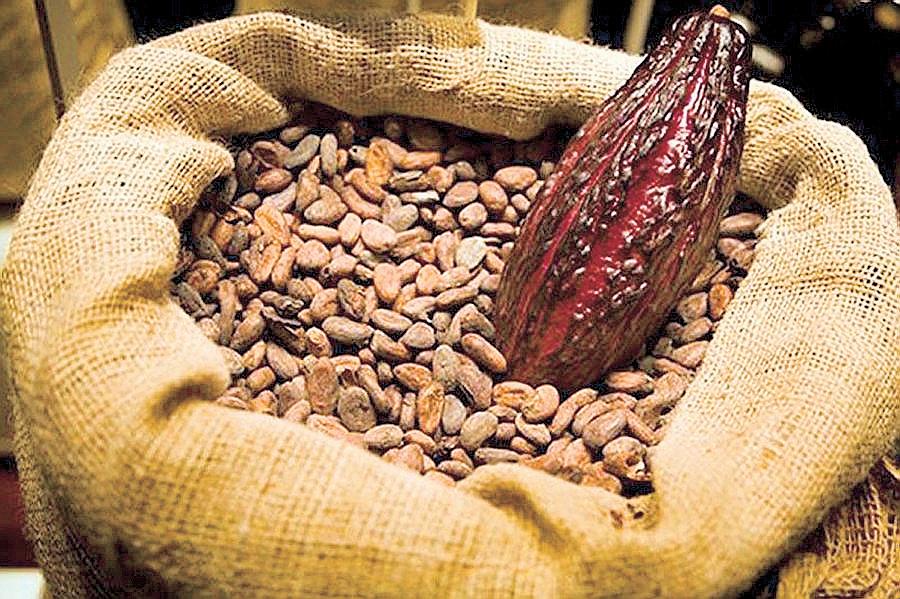 Bittersweet Valentine's: Chocolate price rise to persist