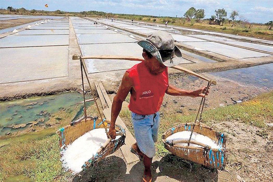 Gov't proposes ship-out deadline for salt imports