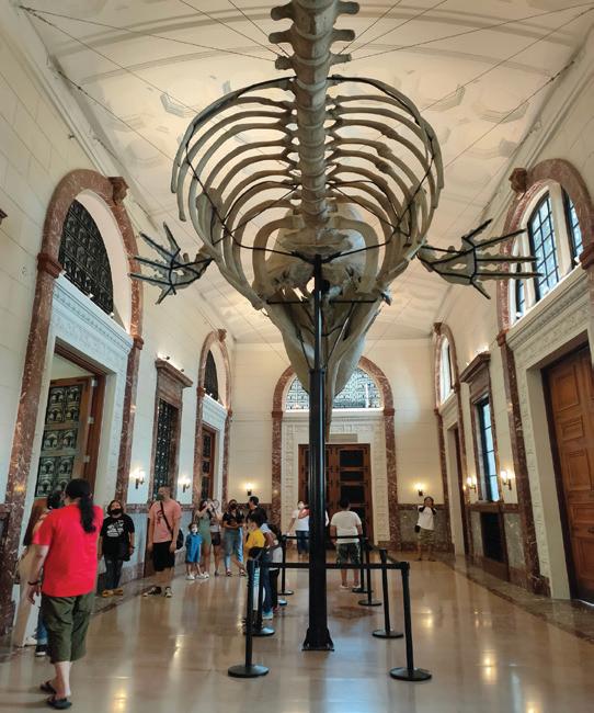 PRESERVING HERITAGE, INSPIRING COMMUNITIES: SMDC'S P100M COMMITMENT TO CULTURE AND THE ARTS