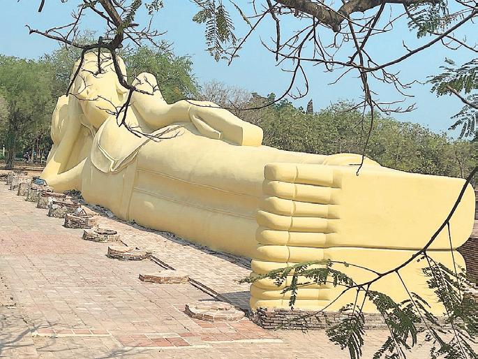 Why Thai Mangoes Are Catching Up To Our Golden Carabao