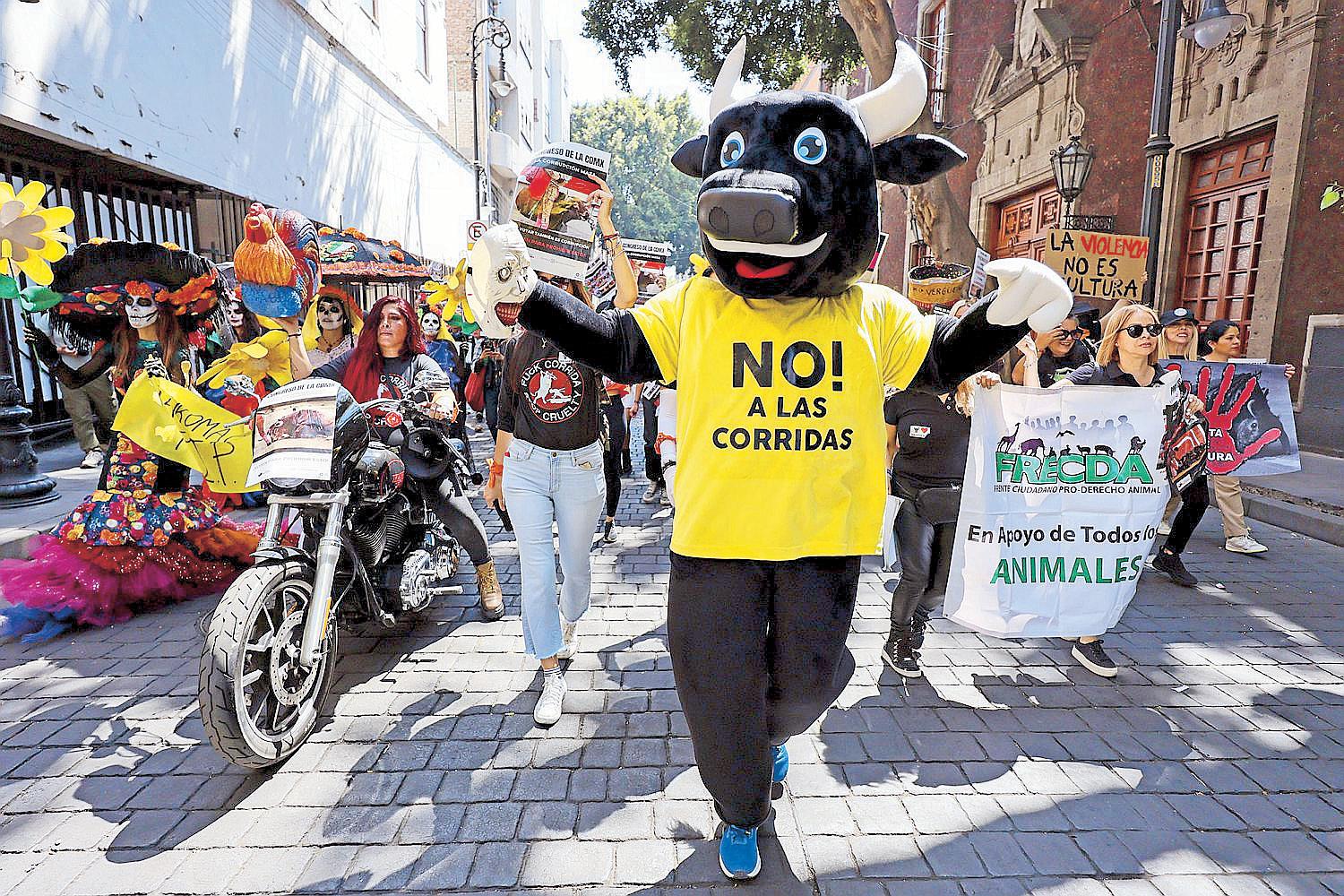 Mexico City bans violent bullfighting