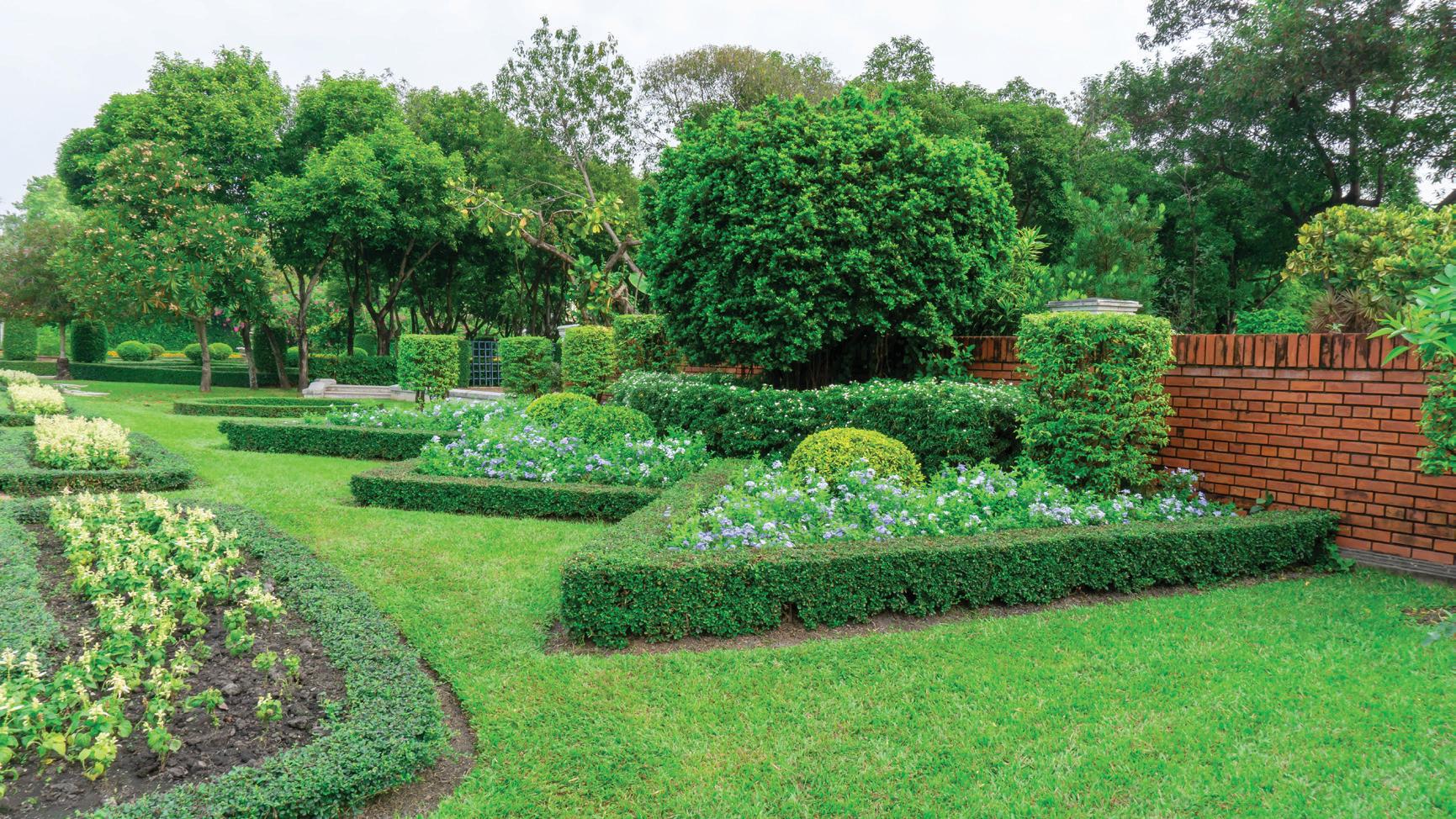 Landscaping and Its Importance in Home Design: Creating Sustainable Spaces for a Greener Future This Earth Hour