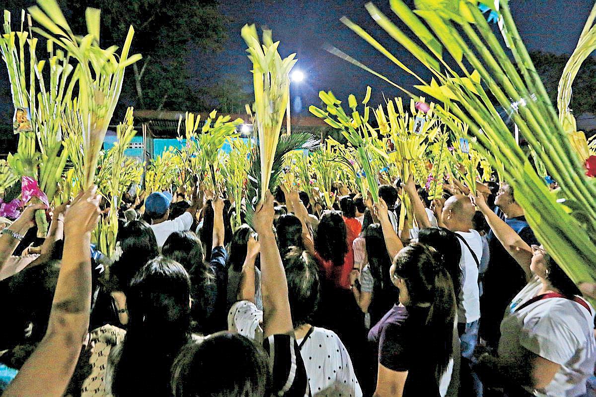 Pope Francis Makes Brief Appearance After Palm Sunday Service