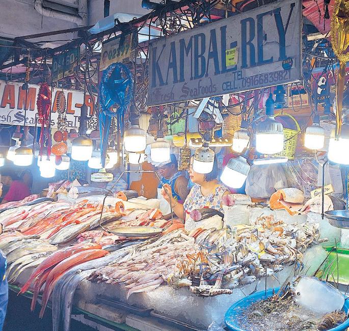 SEASIDE STORIES: FRESH CATCHES AND FAMILIAR FACES