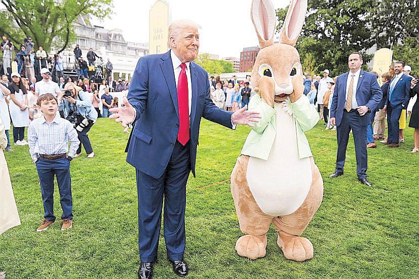 Harvard Sues Trump Over US Federal Funding Cuts