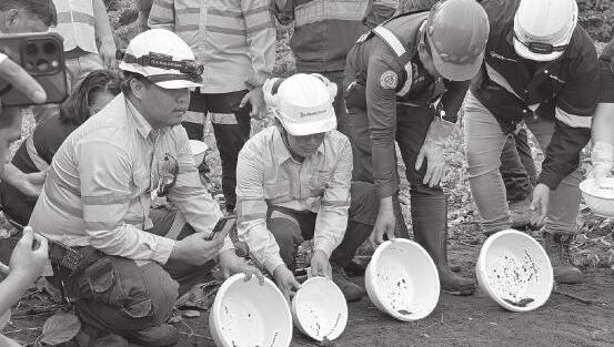AboitizPower Releases Sea Turtle Hatchlings, Highlights Conservation Efforts