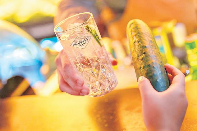 A TOAST TO WORLD CUCUMBER DAY