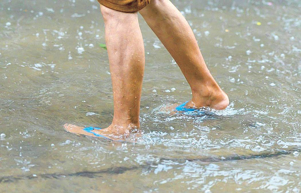 This rainy season, avoid leptospirosis