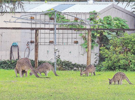 Gippsland getaway