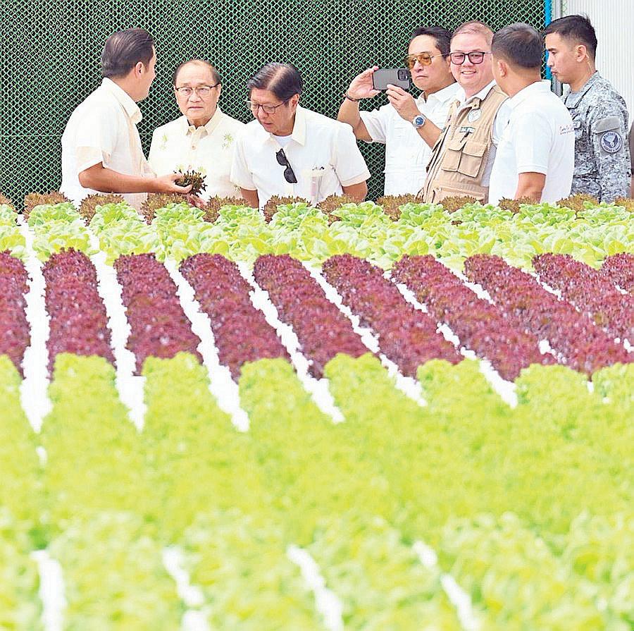 Veggies first