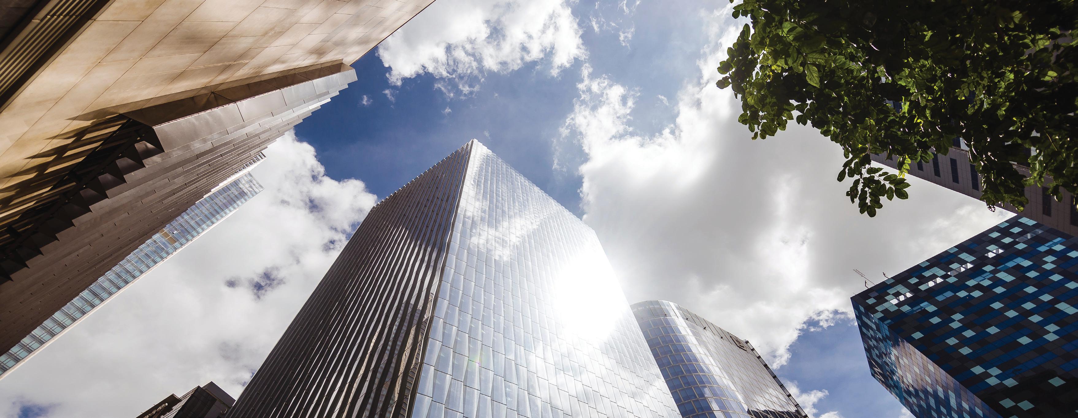 Regenerating the way we live, build, and belong