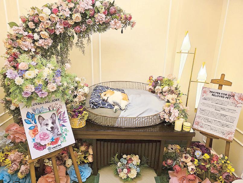 PAWS AND REMEMBRANCE: SAYING GOODBYE TO PETS TODAY