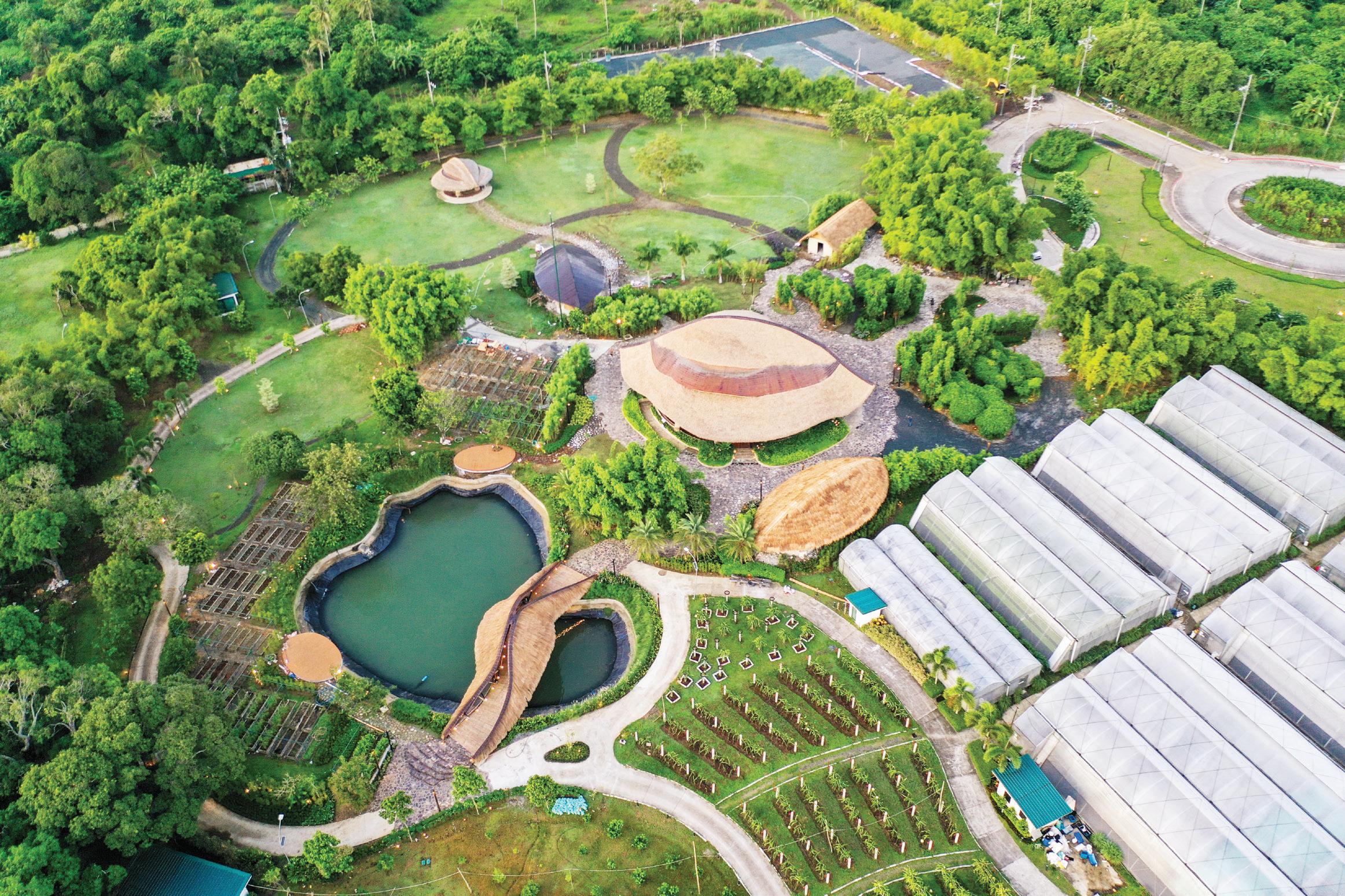 Rooted in Bamboo: How Kawayan Ecopark Reclaims Cultural Identity Through Architecture and Craft