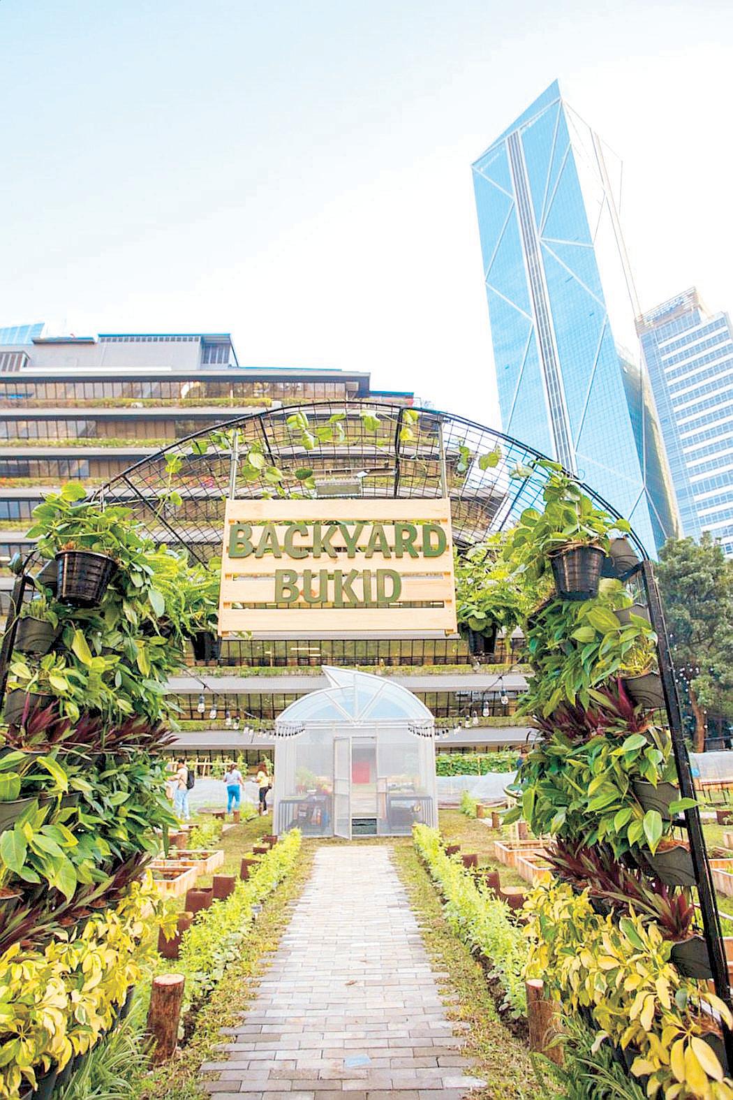 SMC to expand urban farming project annually
