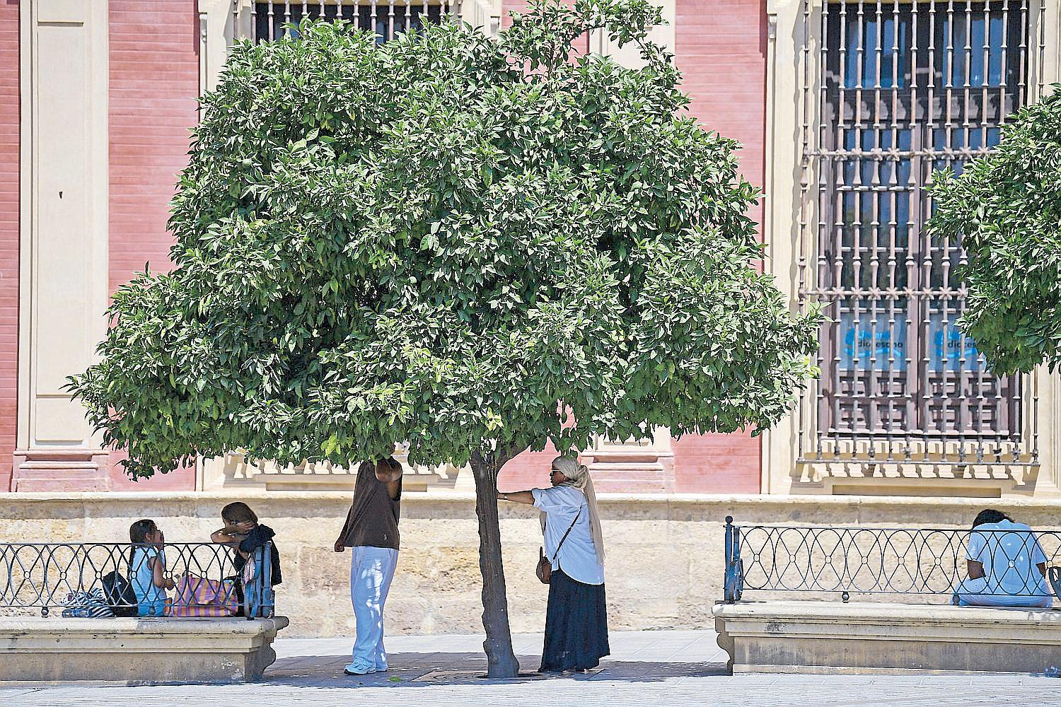 More than 1,100 deaths linked to Spain's heatwave