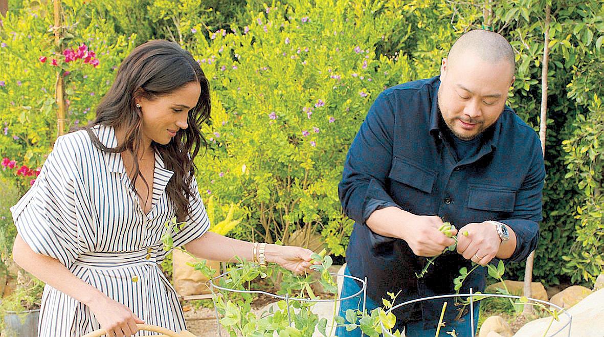 WHO'S UP FOR A SECOND HELPING OF MEGHAN?