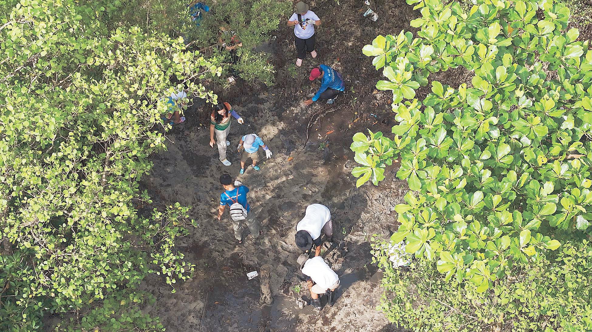 Toyota Phl's commitment: A million trees for carbon sinks