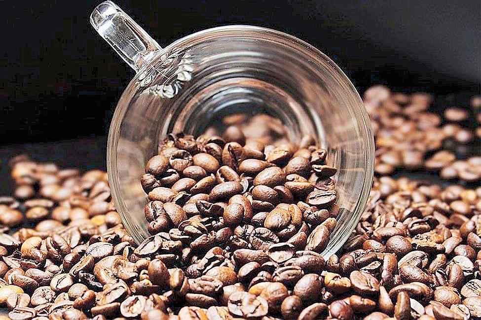 Nestlé to put up more coffee buying stations in Phl