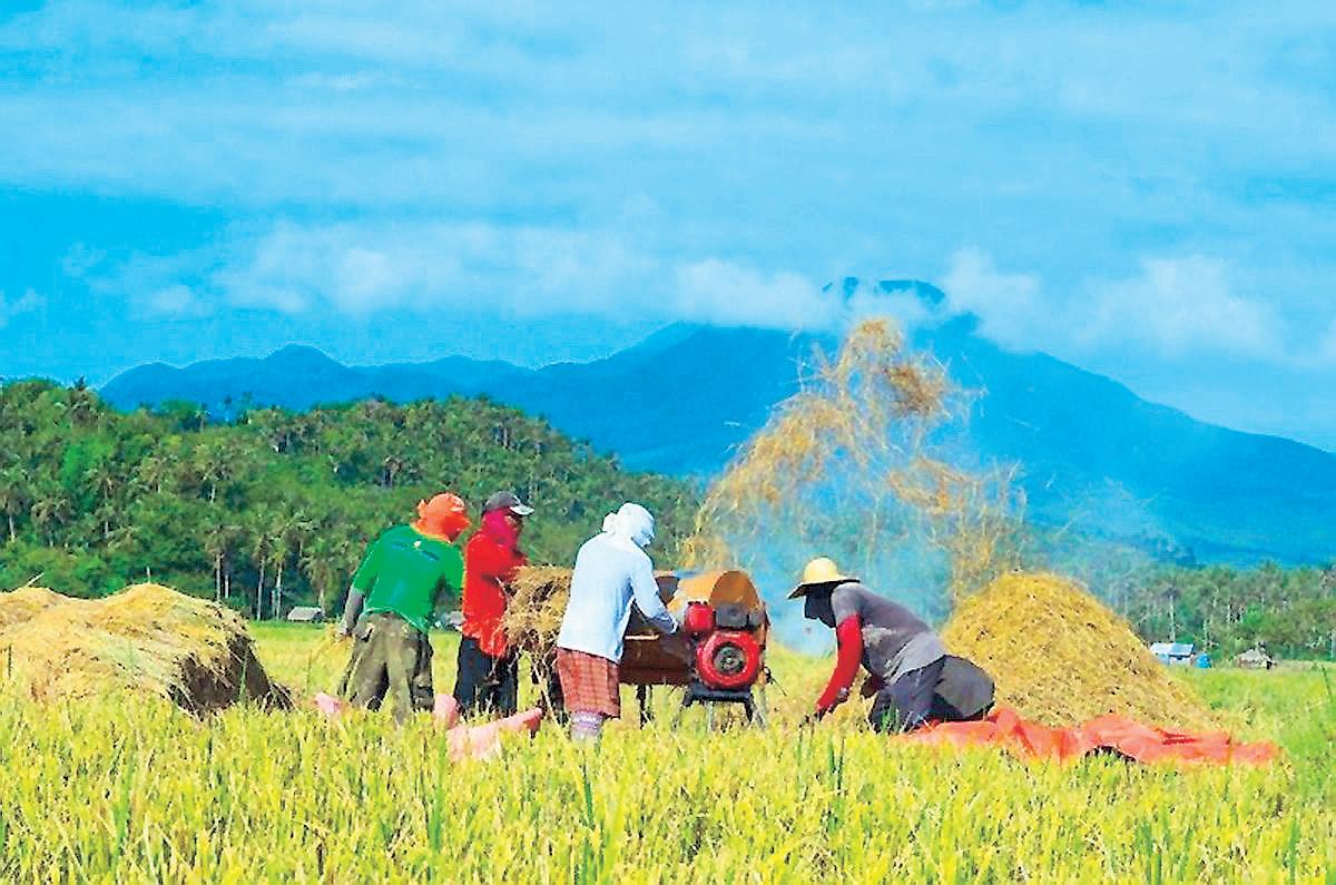 Farmers score variable rice tariff scheme