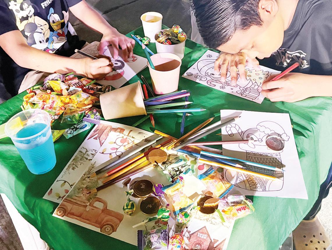 CAMELLA LIGHTS... From D1