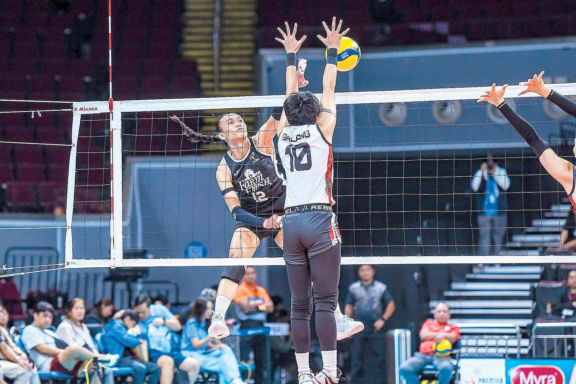 FARM FRESH ON HIGH GOING TO QUARTERS