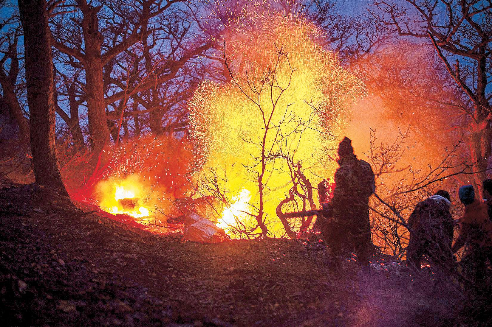 Iran seeks help with fire threatening UNESCO-listed forests