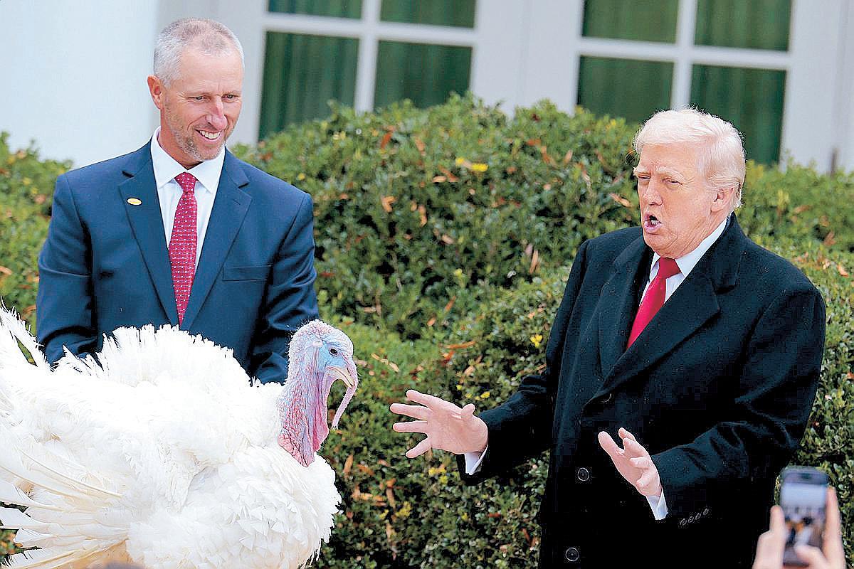 Trump turns turkey pardon ritual into political roast