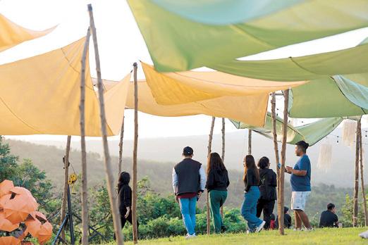 ART AND NATURE WILL HEAL YOU AT THIS FREE MOUNTAINTOP FILM FESTIVAL