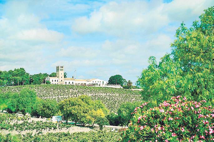 HOW EMPERADOR IS CAPTURING THE NEW WAVE OF DRINKERS