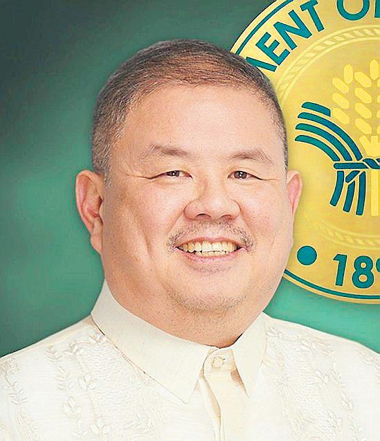 DA trims 2025 palay forecast anew