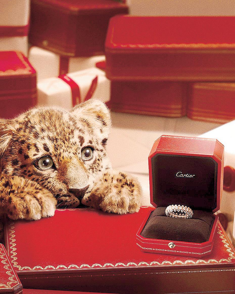 CARTIER FEATURES A TRIBE OF BABY PANTHERS ON THE PROWL
