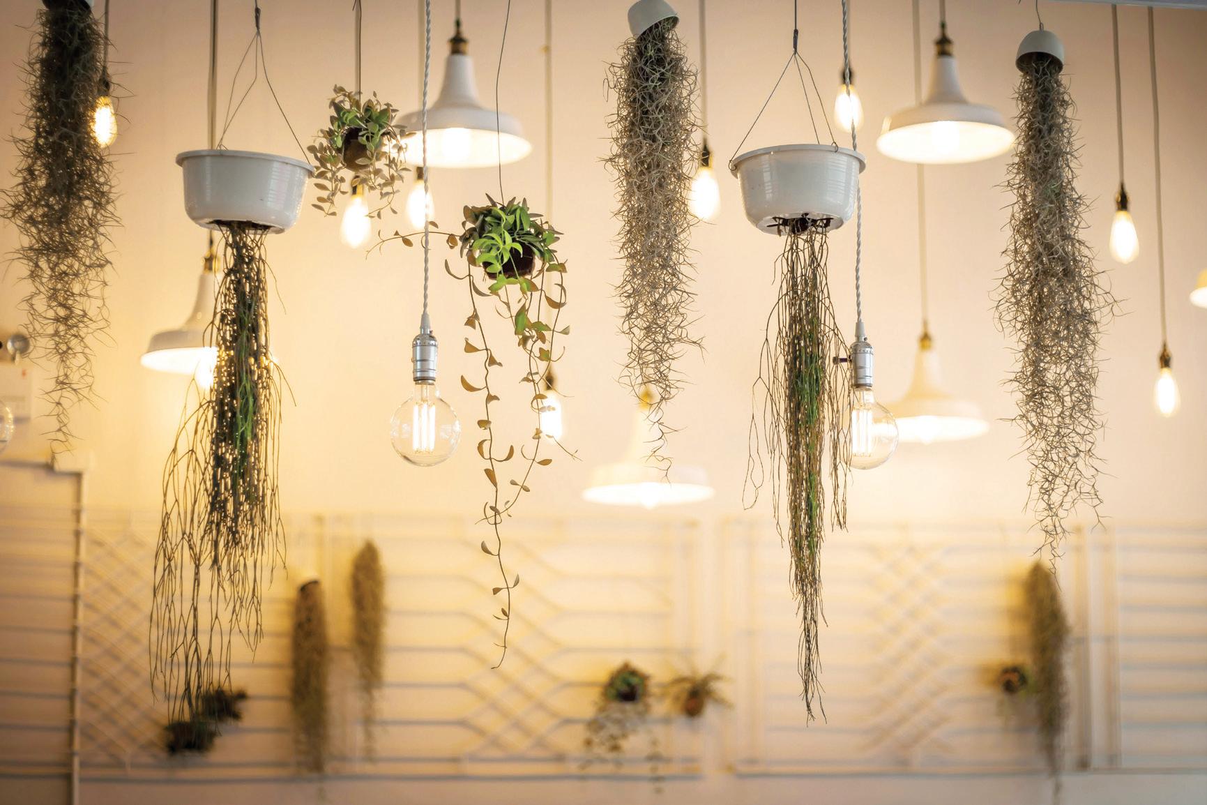THE BUSINESS OF LIGHT: ‘Energy-conscious living on the rise in Phl’