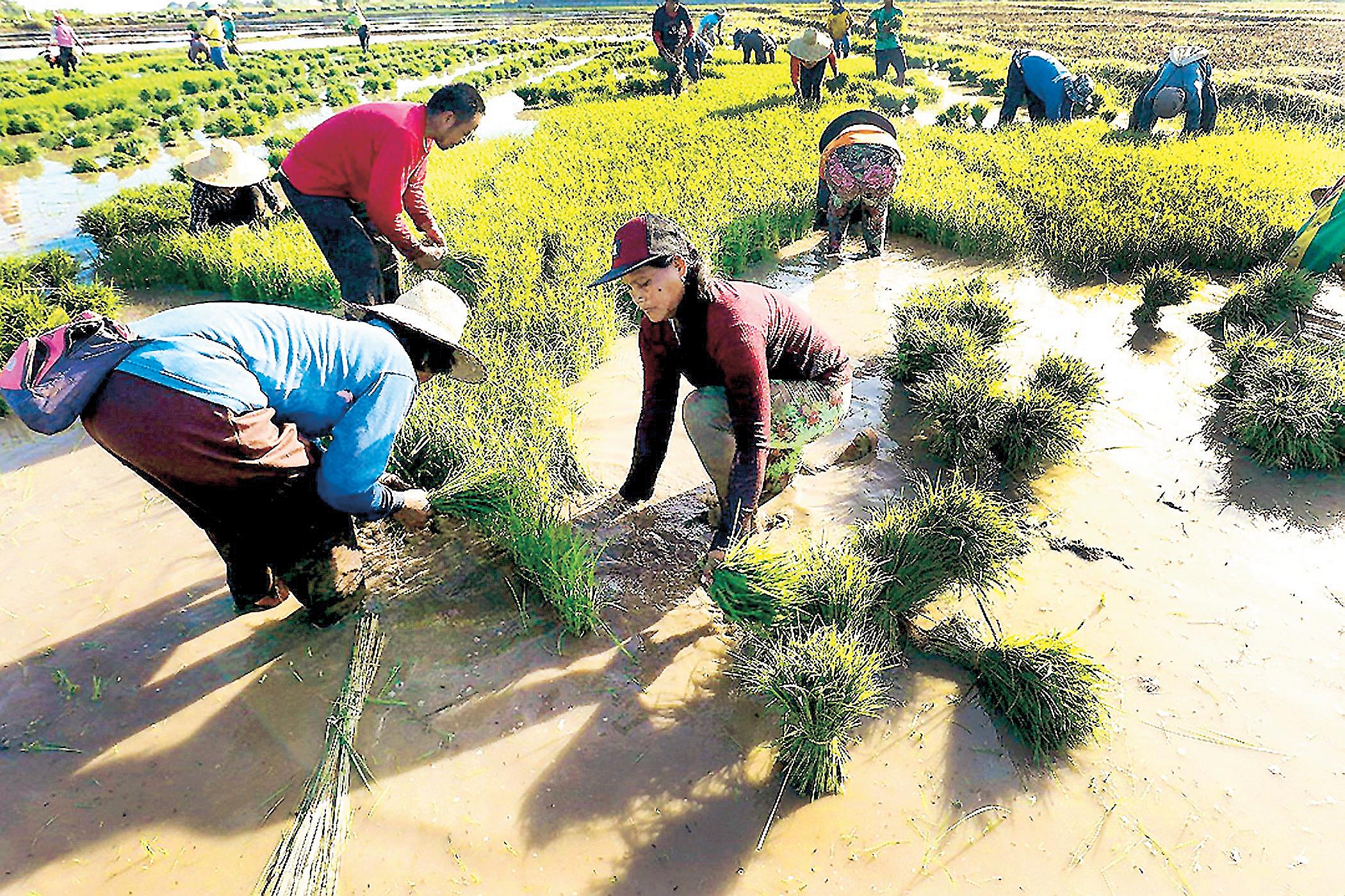 Mixed gains, challenges and the chase for resilience