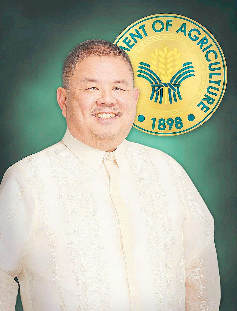 All rice imports due next month – DA