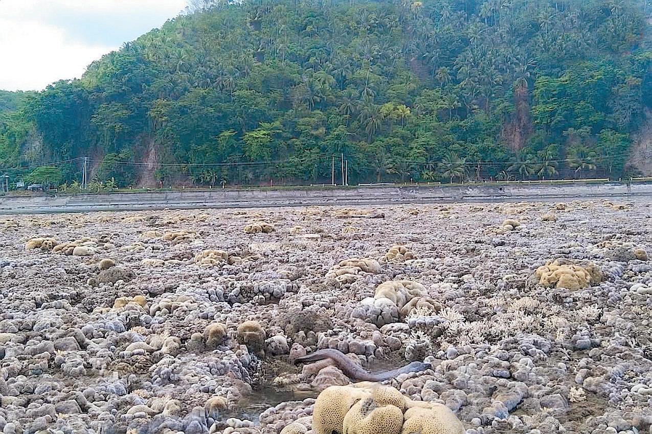 Quake deaths hit 61; M 4.9 aftershock jolts Sarangani