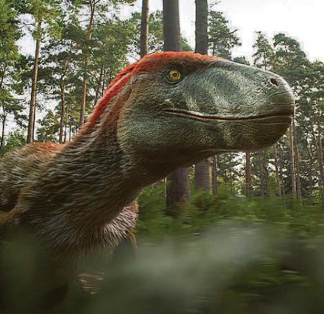 Dino team fall for an armoured charmer