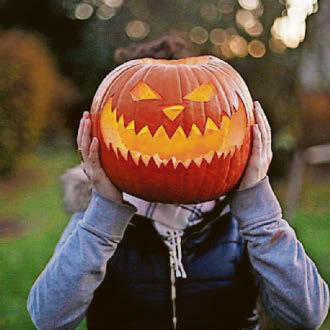 Now's time to get all aboard for autumn's amazing activities