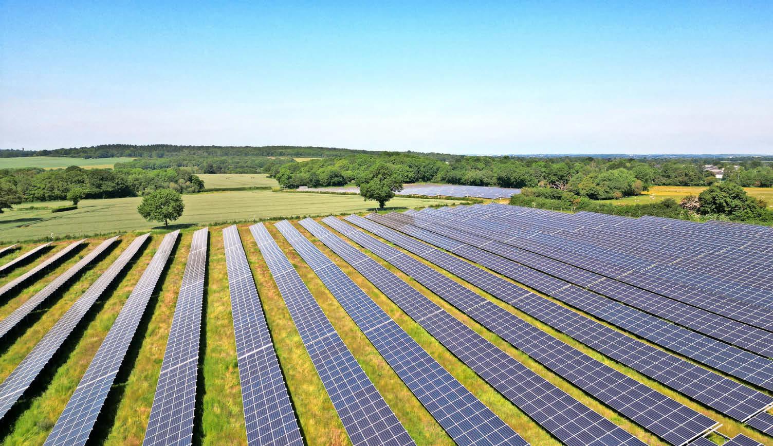 'UK's biggest solar project puts my farm future at risk'
