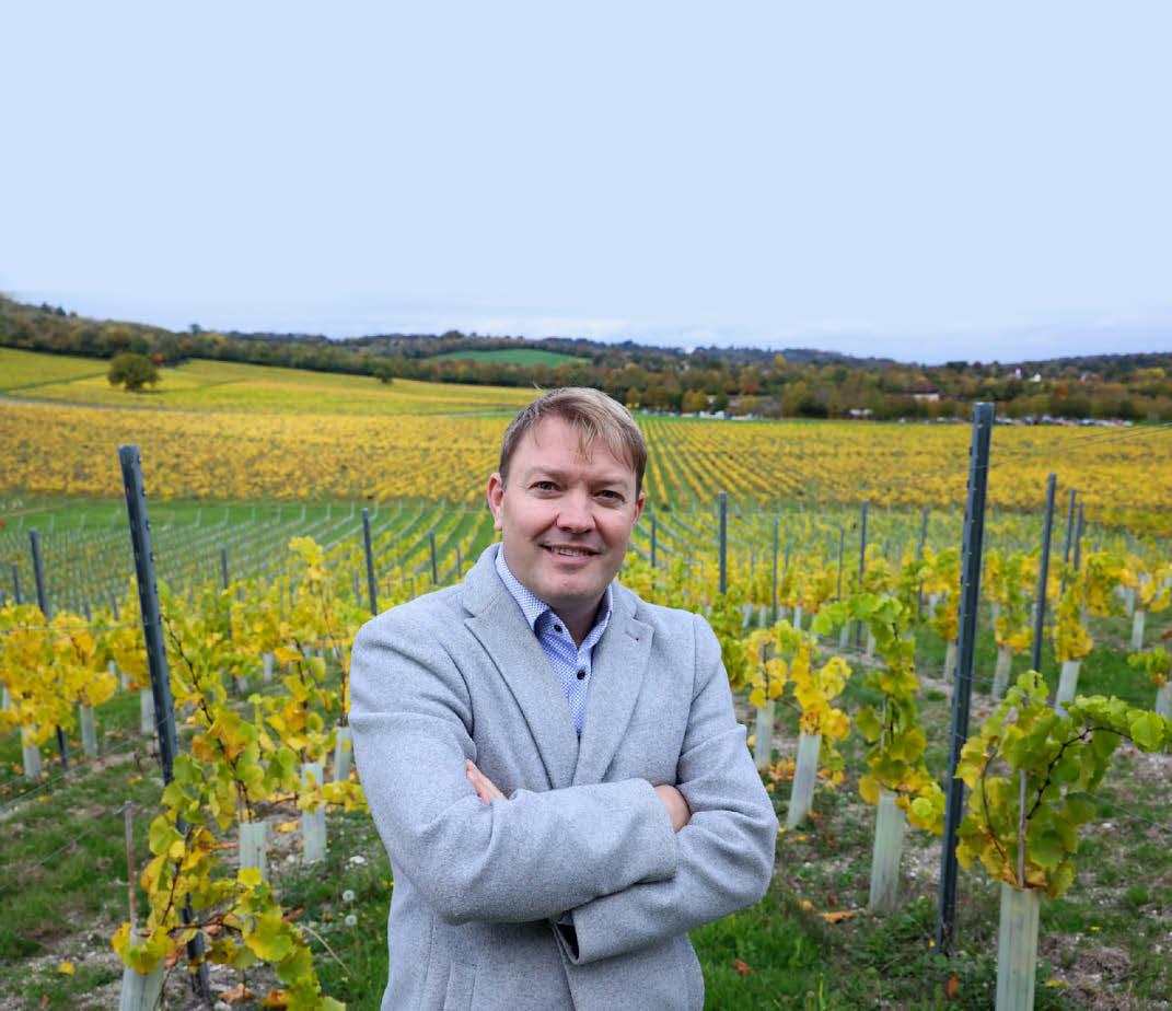 Grape expectations as vineyards thrive
